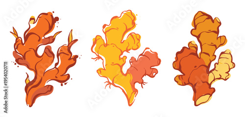 Ginger Roots Vector Illustration in Orange and Yellow Tones Isolated