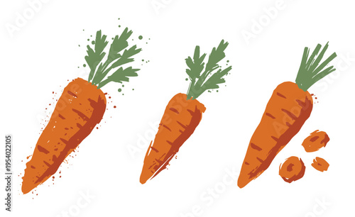 Three carrots vector art illustration, vegetable food harvest with leaves and sliced pieces drawing