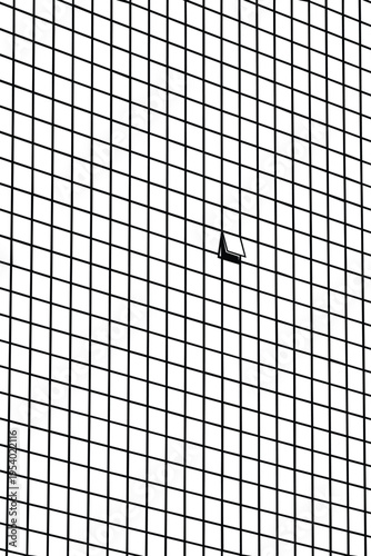 Minimalist Black and White Architecture - Grid Facade with One Open Window