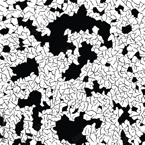 Abstract Black and White Cracked Surface Texture Background