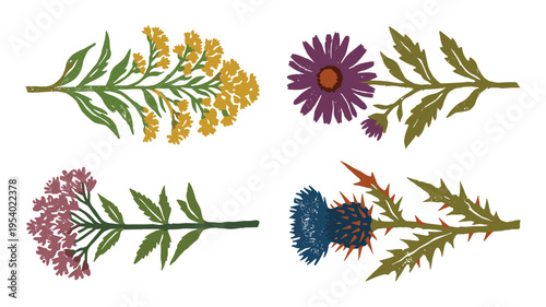 Wildflower Sprigs Vector Set, Botanical Floral Elements, Yellow Mustard, Thistle and Purple Flowers Illustration