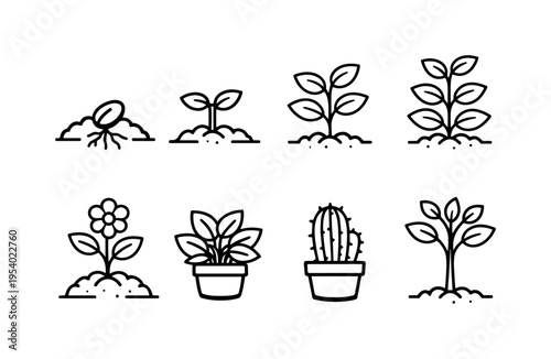Plant growth stages: seed in soil, sprouting seedling, young plant with leaves, growing stem plant, blooming flower plant, leafy houseplant pot, cactus in pot, tree sapling
