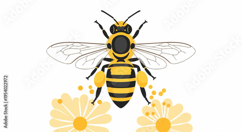 Graphic honey bee illustration collecting pollen from yellow flowers. Honey bee depicts essential role in pollination, surrounded by pollen on white background.