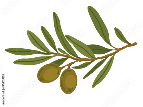 Olives green black branch leaves olive vector illustration food ingredients collection mediterranean cuisine design greek