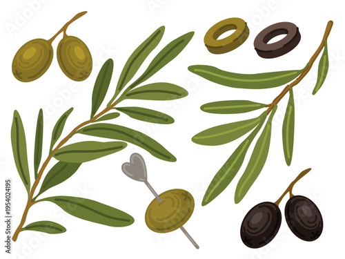 Olives set green black branches leaves olive oil bowl stick sliced drop vector illustration food ingredients collection mediterranean cuisine design greek