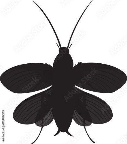 Silhouette flying cockroach isolated on white. vector illustrations