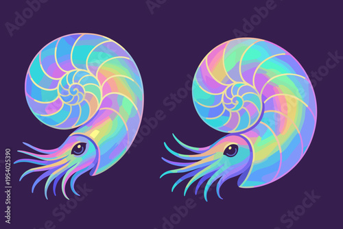 Colorful abstract nautilus shell with vibrant rainbow spirals on a dark background