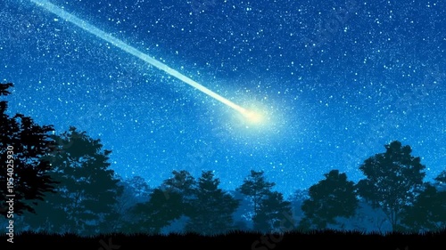 Night sky above silhouetted trees with sparkling stars in the darkness