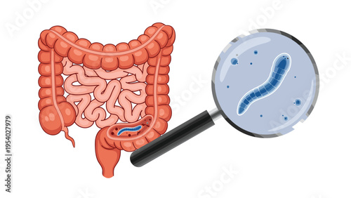 Various styles and types of medical compression stockings in different skin tones and charcoal shades shown on female legs.