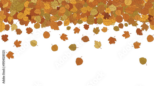 Seasonal border illustration featuring a large variety of falling autumn leaves in warm shades of orange, yellow, and red.