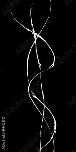Monochrome Fluid Line Background, Abstract Black and White Flowing Curved Lines Vector, Modern Dynamic Swirl Shapes, Elegant Motion Design Elements.