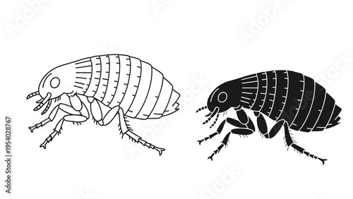 Identification guide for fleas featuring a detailed line art drawing and a solid black silhouette of the insect parasite.