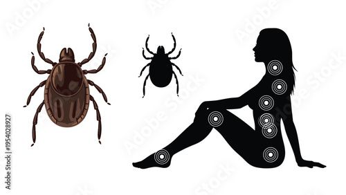 Tick insect parasite and human body silhouette with circular red targets showing common bite locations for lyme disease awareness.