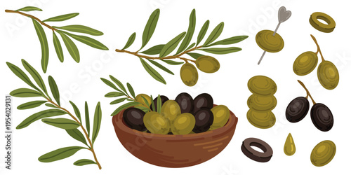 Olives set green black branches leaves olive oil bowl stick sliced drop vector illustration food ingredients collection mediterranean cuisine design greek