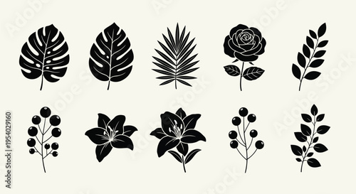 A collection of various leaf shapes and patterns showcasing nature's diversity