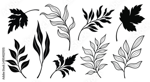 A collection of various plant leaves with intricate details and patterns displayed
