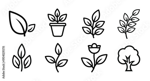 A collection of various plants and flowers in a simple line drawing style.