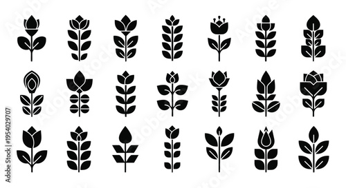 A collection of various types of birds illustrated in a minimalist black and white style