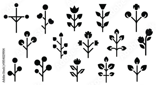 A collection of various types of flowers and plants in a black and white illustration