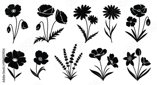 A collection of various types of flowers and plants in black and white illustration