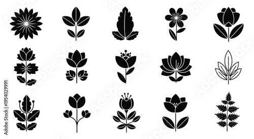 A collection of various types of flowers and plants in black and white