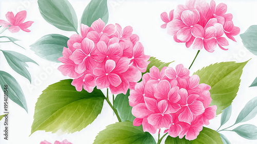 Illustrated pink hydrangea flowers with lush green leaves on a clean white background, highlighting intricate details of petals and foliage
