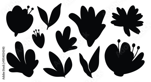 A collection of various types of leaves and flowers in black and white illustration