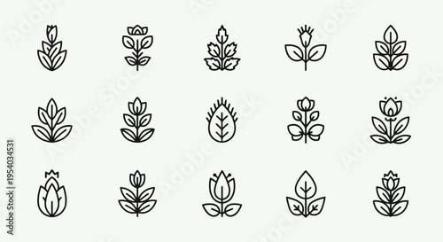 A collection of various types of leaves and flowers in a symmetrical pattern arrangement
