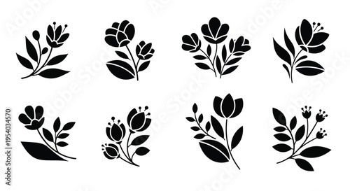 A collection of various types of leaves showcasing different shapes and sizes