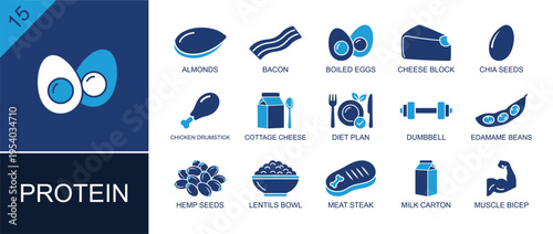 Protein food icon set. Containing almonds, bacon, boiled eggs, cheese block, chicken drumstick, cottage cheese, lentils bowl, meat steak, milk carton and more. Solid fill vector icons.