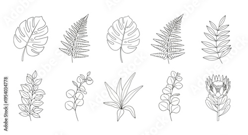 A collection of various types of trees and plants with intricate branches and leaves