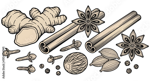 Hand-Drawn Vintage Engraving of Aromatic Spices Ginger, Cinnamon, Star Anise, Cloves, Nutmeg, Cardamom. Perfect for Culinary & Beverage Design Projects