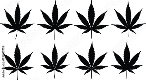 Set of cannabis leaf silhouettes in various shapes, hemp plant vector collection isolated on white background for design