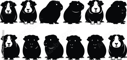 Set of guinea pig silhouettes in cute poses, small pet animal vector collection isolated on white background for design