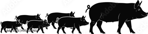 Set of pig silhouettes in different sizes, farm livestock vector collection isolated on white background for agriculture and animal design