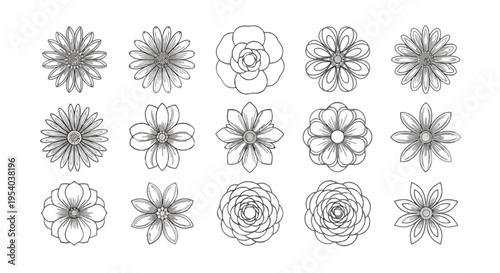 A collection of 15 different flower designs in black and white isolated on transparent background, Vector