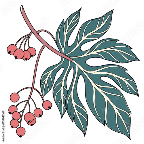 Botanical Branch Illustration with Red Berries Vector

