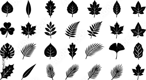 Modern illustration featuring silhouettes of decorative garden plants, including a set of bush and bare bush
