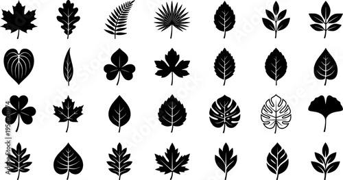 Modern illustration featuring silhouettes of decorative garden plants, including a set of bush and bare bush
