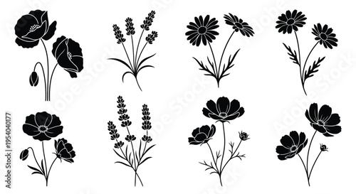 A diverse collection of various flowers and plants illustrated in black and white