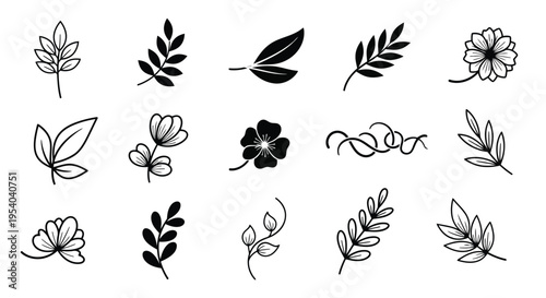 A diverse collection of various types of leaves and ferns in black and white