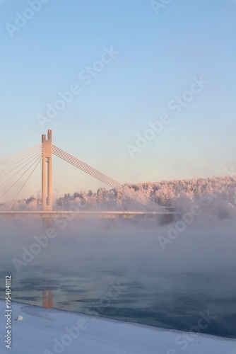 Bridge in Winter Wonderland