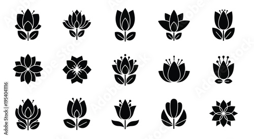 A diverse collection of various types of plants and flowers in a symmetrical arrangement