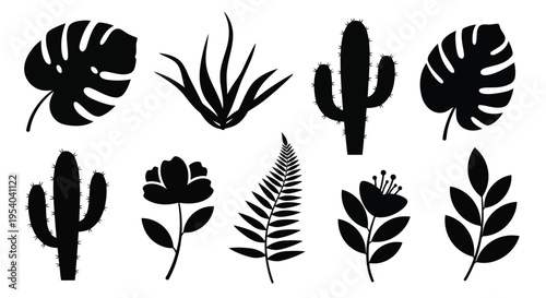 A diverse collection of various types of plants and cacti in black and white