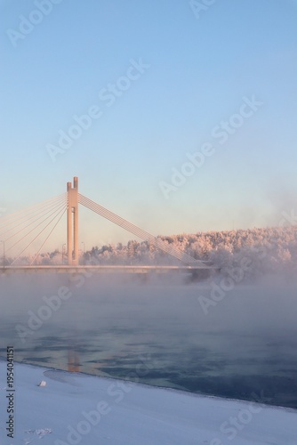 Bridge in Winter Wonderland