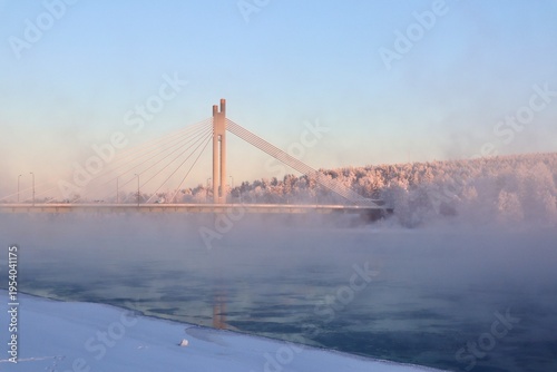 Bridge in Winter Wonderland