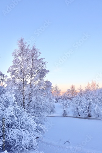 Winter Wonderland