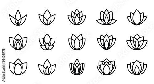 Assorted lotus flowers in various stages of bloom and from different perspectives