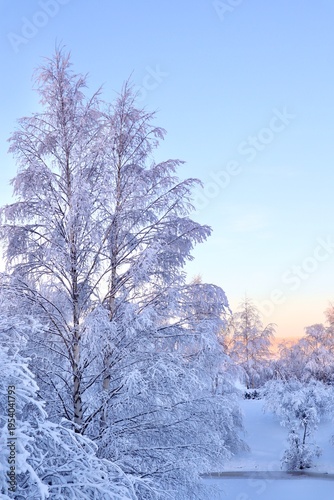 Winter Wonderland