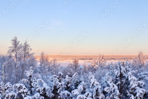 Winter Wonderland